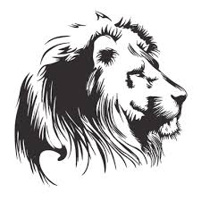 lion illustrations