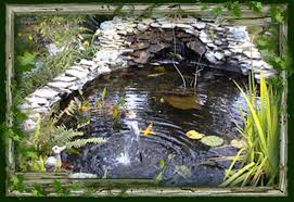The Koi pond in our back yard