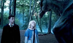 harry potter and the order of the phoenix