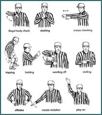 dog hand signals