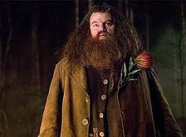 http://t3.gstatic.com/images?q=tbn:oq1XYj6NMxL5UM:http://dic.academic.ru/pictures/wiki/files/51/300px-hagrid.jpg