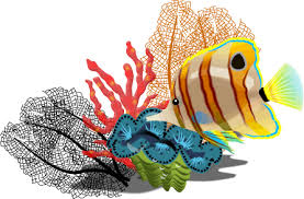 tropical fish clipart