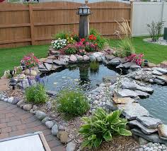 backyard fish pond