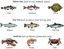 types of fish pictures