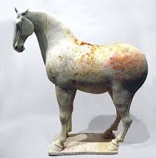 large horse pictures