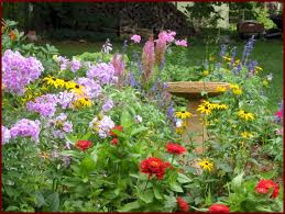 small flower garden pictures