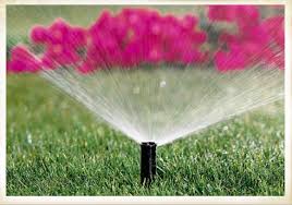 كيف نجعل هذه الحديقة كلوحة ملونة بريشة فنان Photo_irrigation1