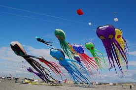 kites