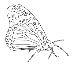 monarch butterfly coloring page
