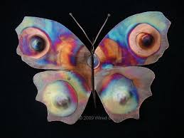 large butterflies