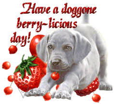 http://t3.gstatic.com/images?q=tbn:qgOfw9A4LADI-M:http://media.bigoo.ws/content/83/287983/Dog-Berry-Licious-Glitter.gif&amp;t=1