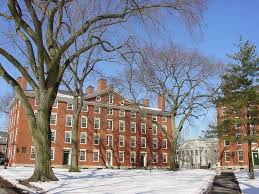 harvard university