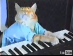 Keyboard cat Lo mejor! xD Keyboard-cat