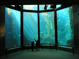 File:Monterey bay aquarium.jpg