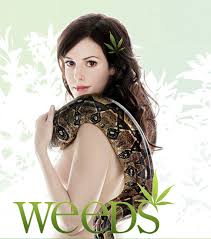 weeds season 4