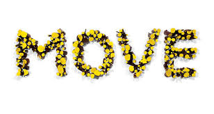 http://t3.gstatic.com/images?q=tbn:rOlbJp0U1HK_qM:http://graphics8.nytimes.com/images/2008/04/20/magazine/20move-600.jpg