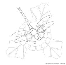 dragonfly illustrations