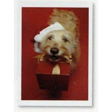 christmas greetings cards