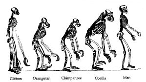 Anthropology lovers unite!