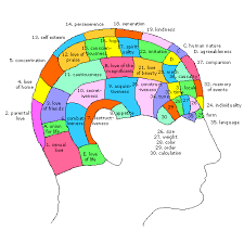 http://t3.gstatic.com/images?q=tbn:rhfPRnHyzNvdeM:http://www3.niu.edu/acad/psych/Millis/History/2004/phrenology.gif