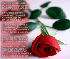 Son Bir Kez