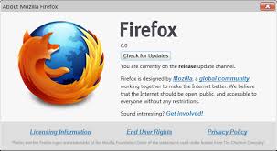 Firefox 6 Final does not bring