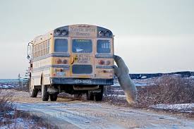 Bus Churchill Manitoba