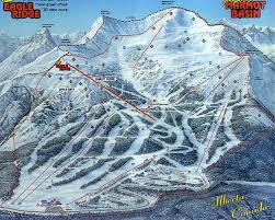 marmot basin