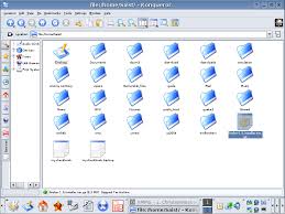the FireFox install file.
