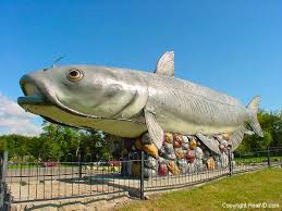largest catfish pictures