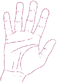 ����� ����� ����