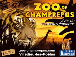 Afficher l'image en taille réelle