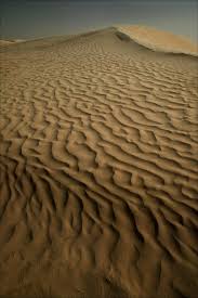 Sahara