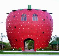 strawberry fields forever