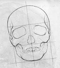 how to draw a skull