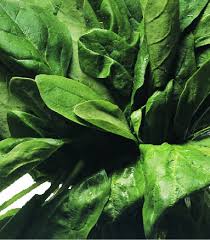 spinach