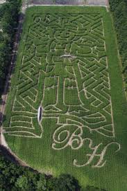 -plantation-corn-maze.jpg