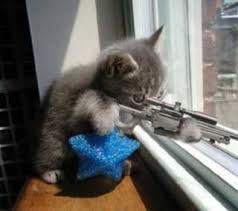 free funny pics