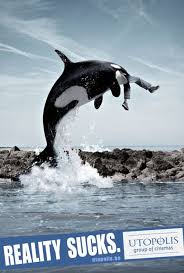 free willy