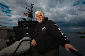 Whale Wars, which debuts