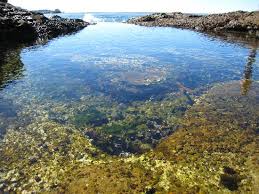 tidepools