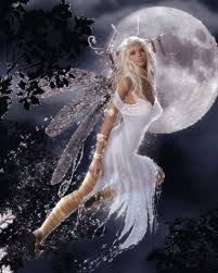 fairies animations