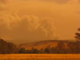 victorian bushfires