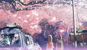 5 centimeter per second