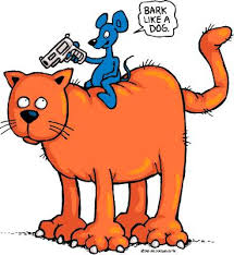 funny cartoon pics