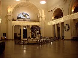 night at the museum