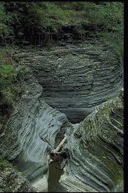 at Watkins Glen State Park
