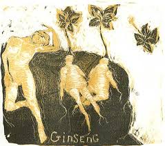 Ginseng- Panax quinquefolia
