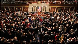 New Voices in Congress Will