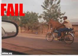 funny blogs
